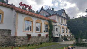Neudek
